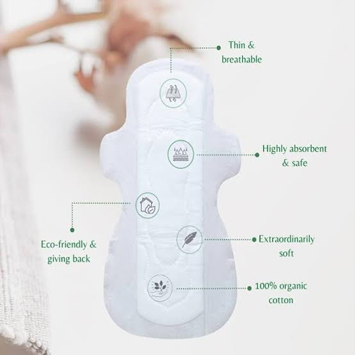 Sanitary Napkin (10 pieces)
